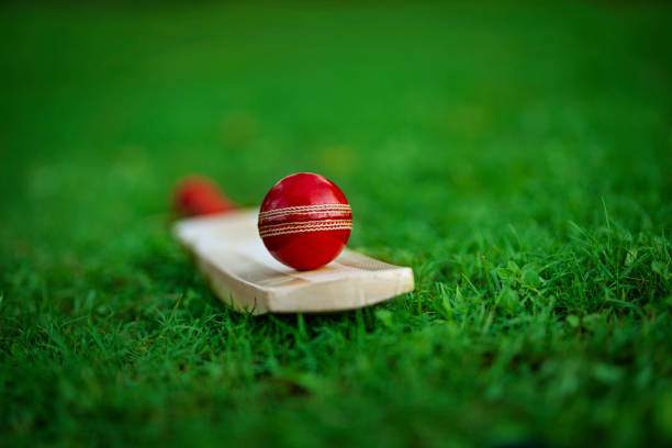 The Influence of IPL Matches on School and College Cricket Programs