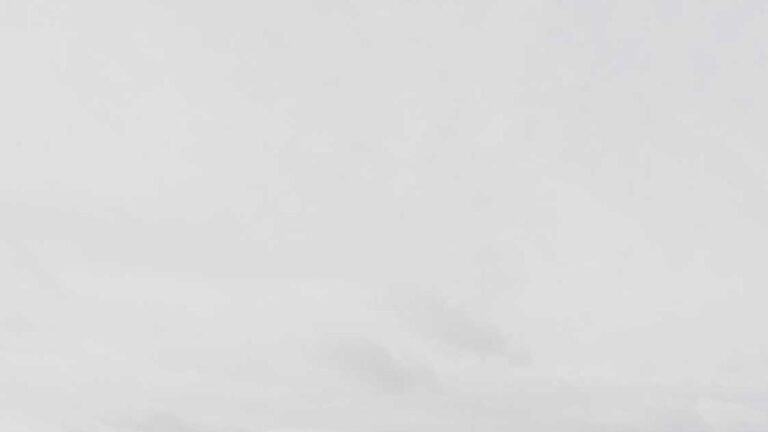 What Is 11Xplay Aviator Predictor Tool?