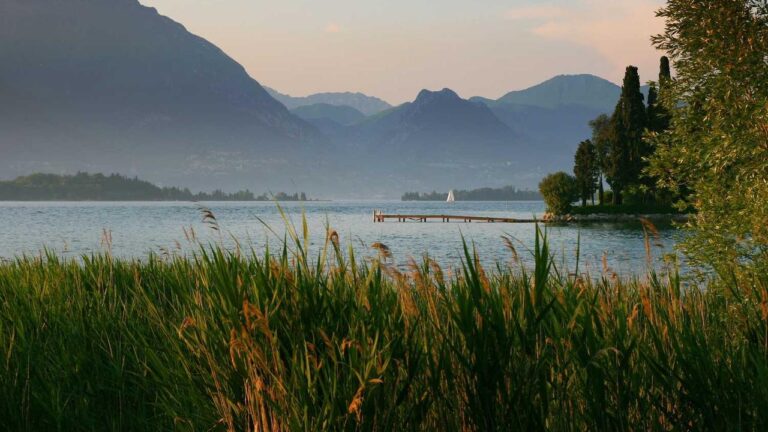 How To Open A New Account On 99 Exch Platform?